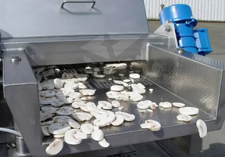 Оборудование для переработки грибов