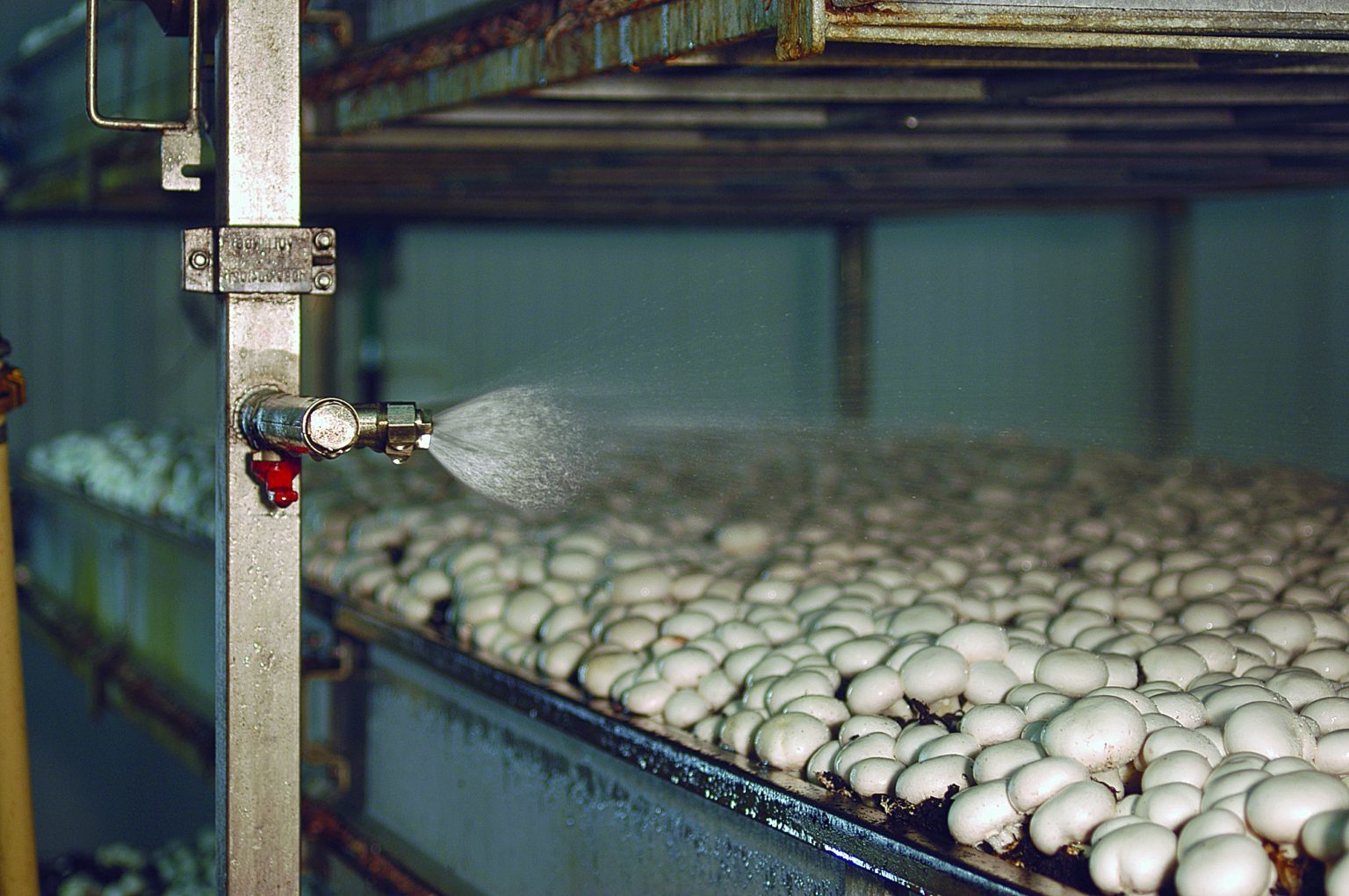 Оборудование для выращивания грибов