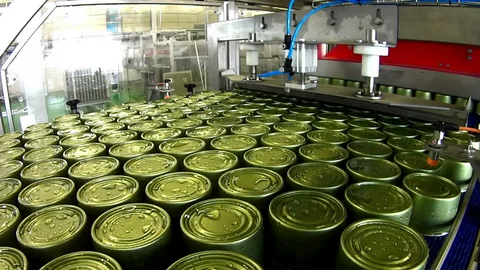 Оборудование для производства овощных консервов